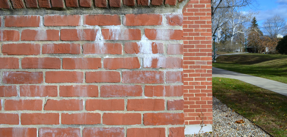 Efflorescence Remover