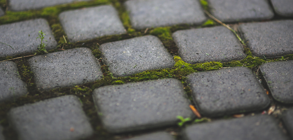 Green Growth Remover