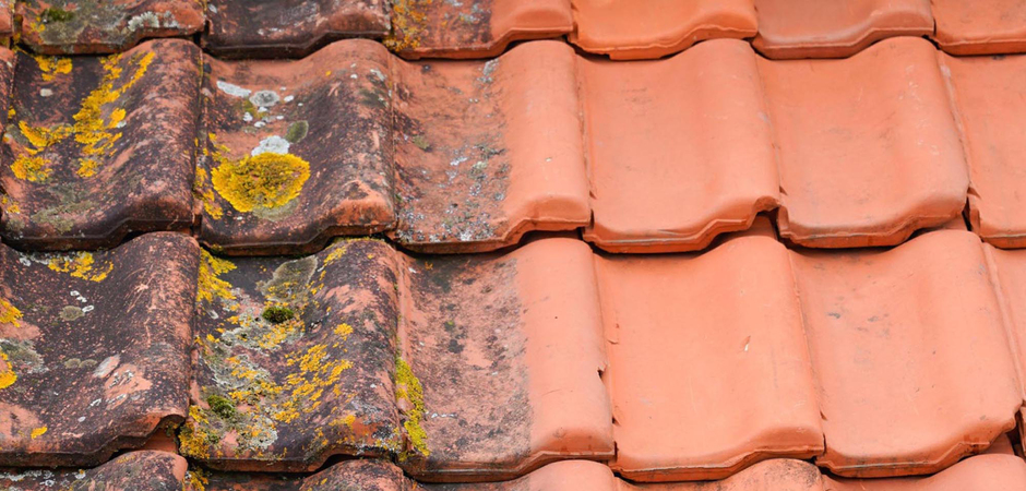 Roof Cleaner