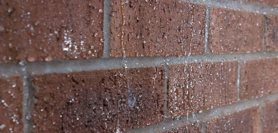 Wall Sealer