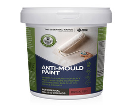 Anti-Mould Paint