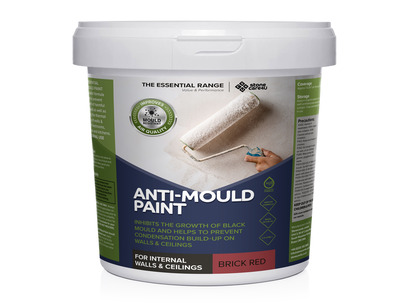 Anti-Mould Paint