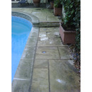 Algae Remover