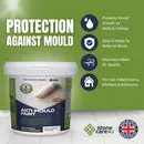 Anti-Mould Paint