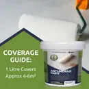 Anti-Mould Paint