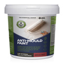 Anti-Mould Paint