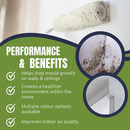 Anti-Mould Paint