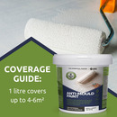 Anti-Mould Paint