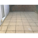 Black Spot Remover