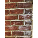 Efflorescence and Salts Acid Remover