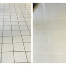 Grout Mould Cleaner