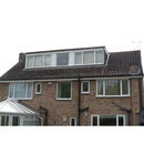 Roof Cleaner