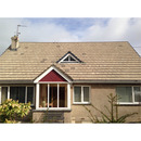 Roof Cleaner