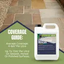 Sandstone Sealer Colour Boost